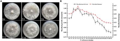 Oxidative damage from repeated tissue isolation for subculturing causes degeneration in Volvariella volvacea